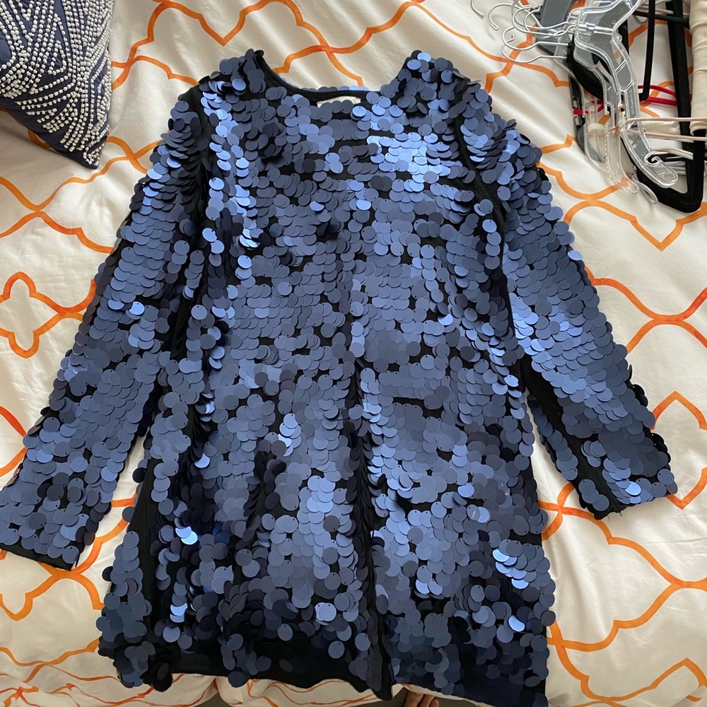 Zara Navy sequin Dress